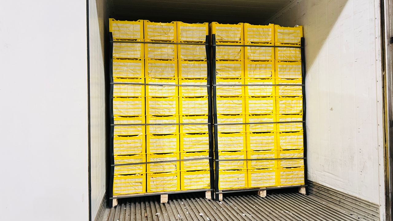 مشاوره تخصصی