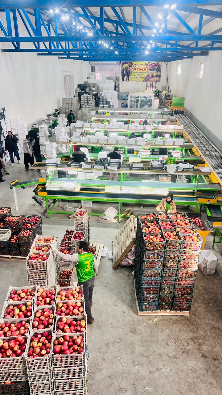 خدمات بازرگانی سیب راسان در اشنویه