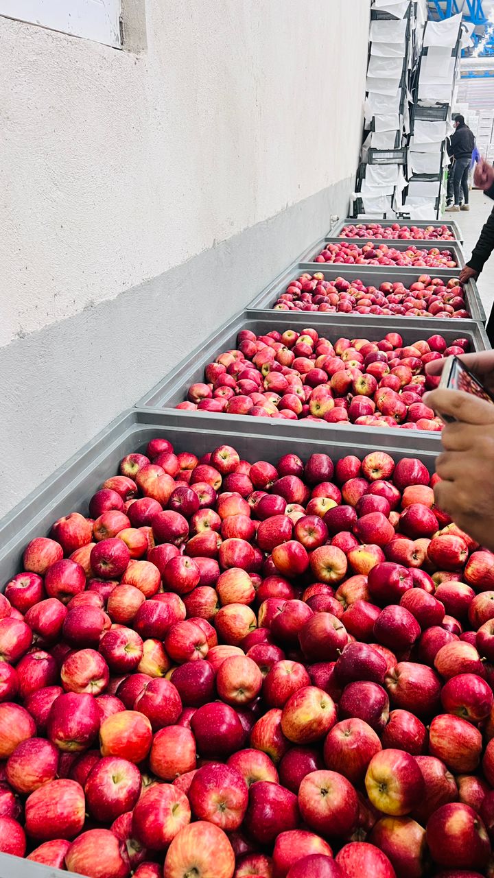 قیمت‌های رقابتی و شفاف