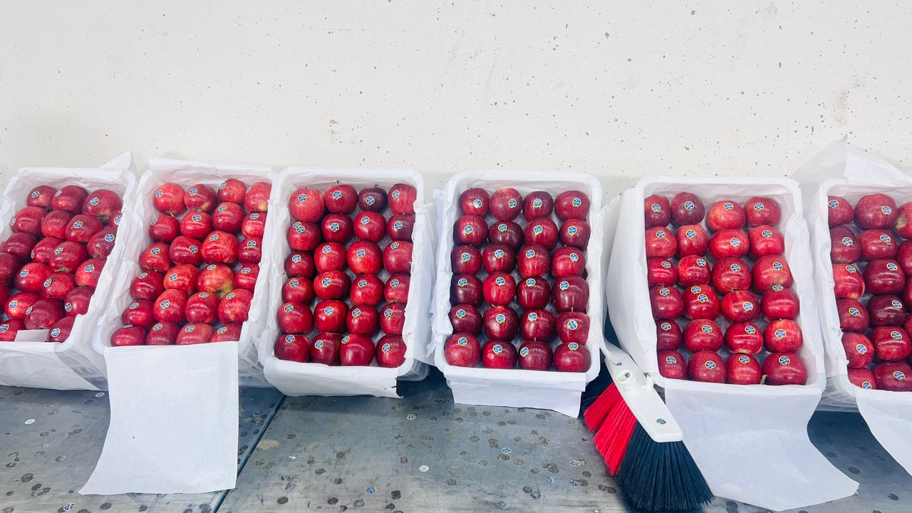 بازرگانی سیب